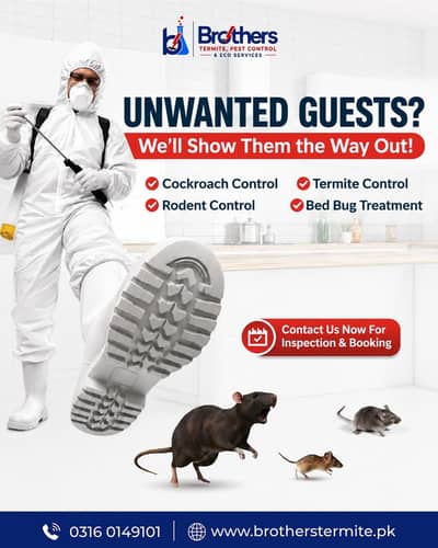 Fumigation, Pest control, Rodent control, Bedbugs spray, termite