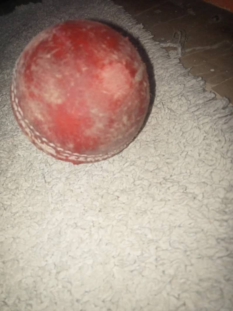 cricket kit . 15