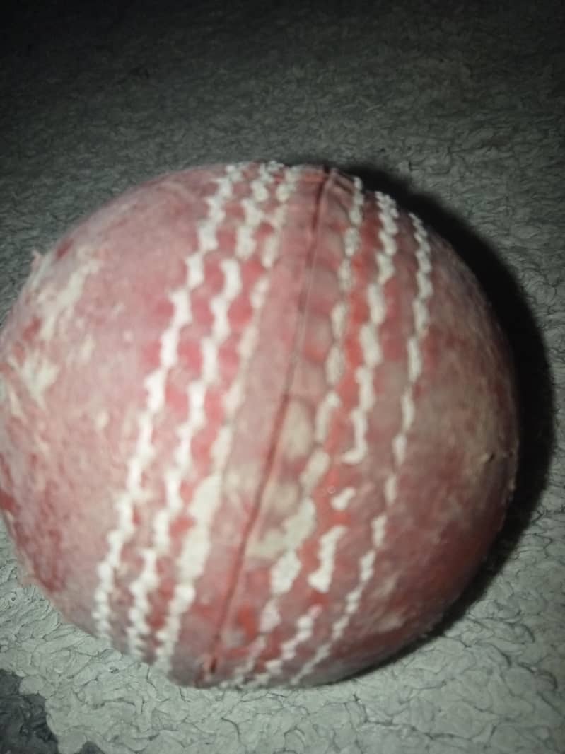cricket kit . 16