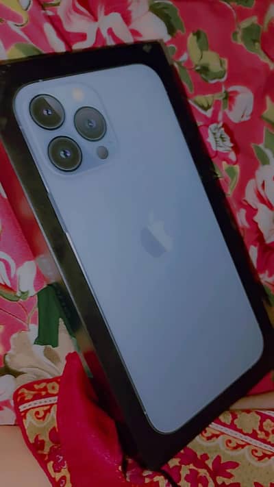 Apple iPhone 13 Pro Max