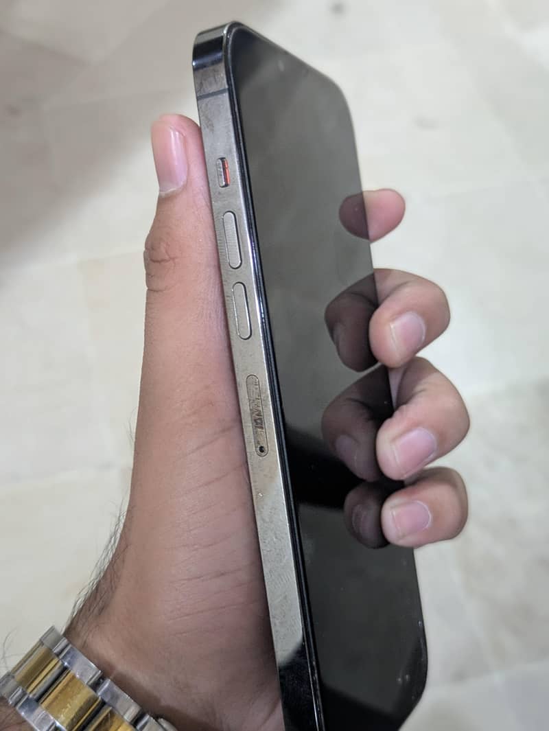Apple iPhone 13 Pro Max 1