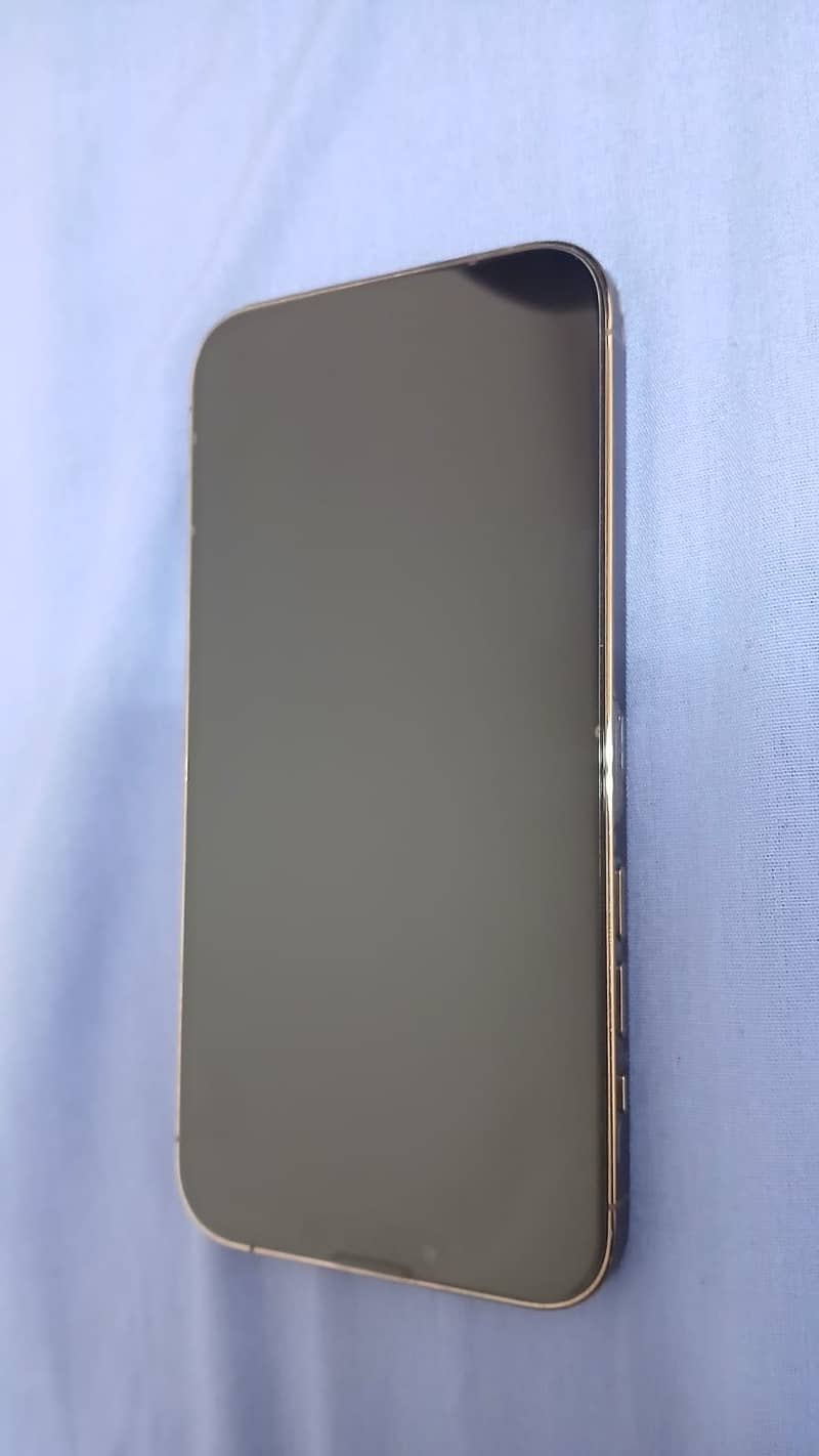 iPhone 13 Pro Max 2