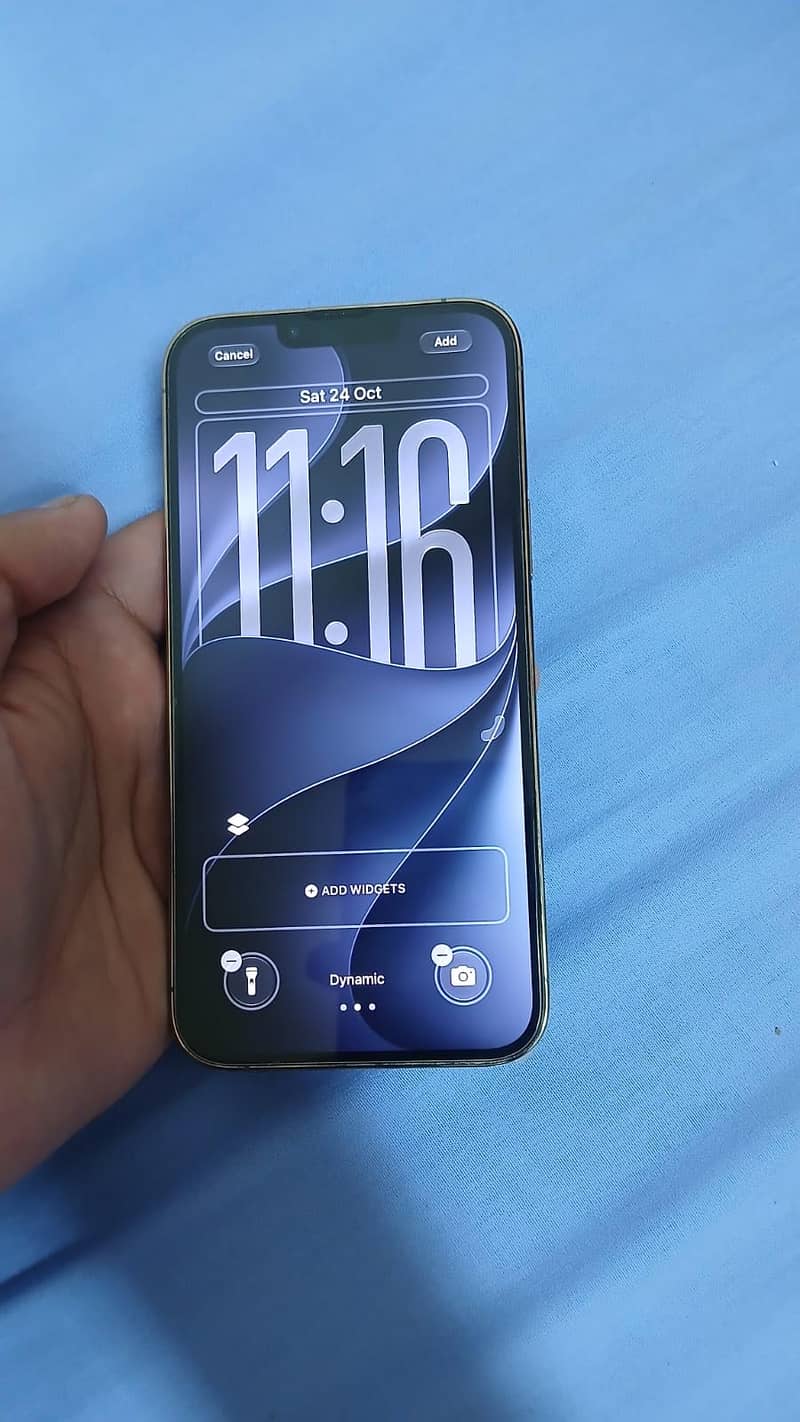 iPhone 13 Pro Max 3