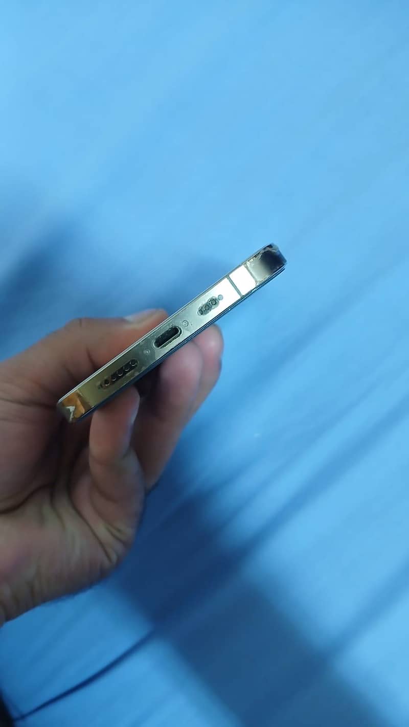 iPhone 13 Pro Max 9