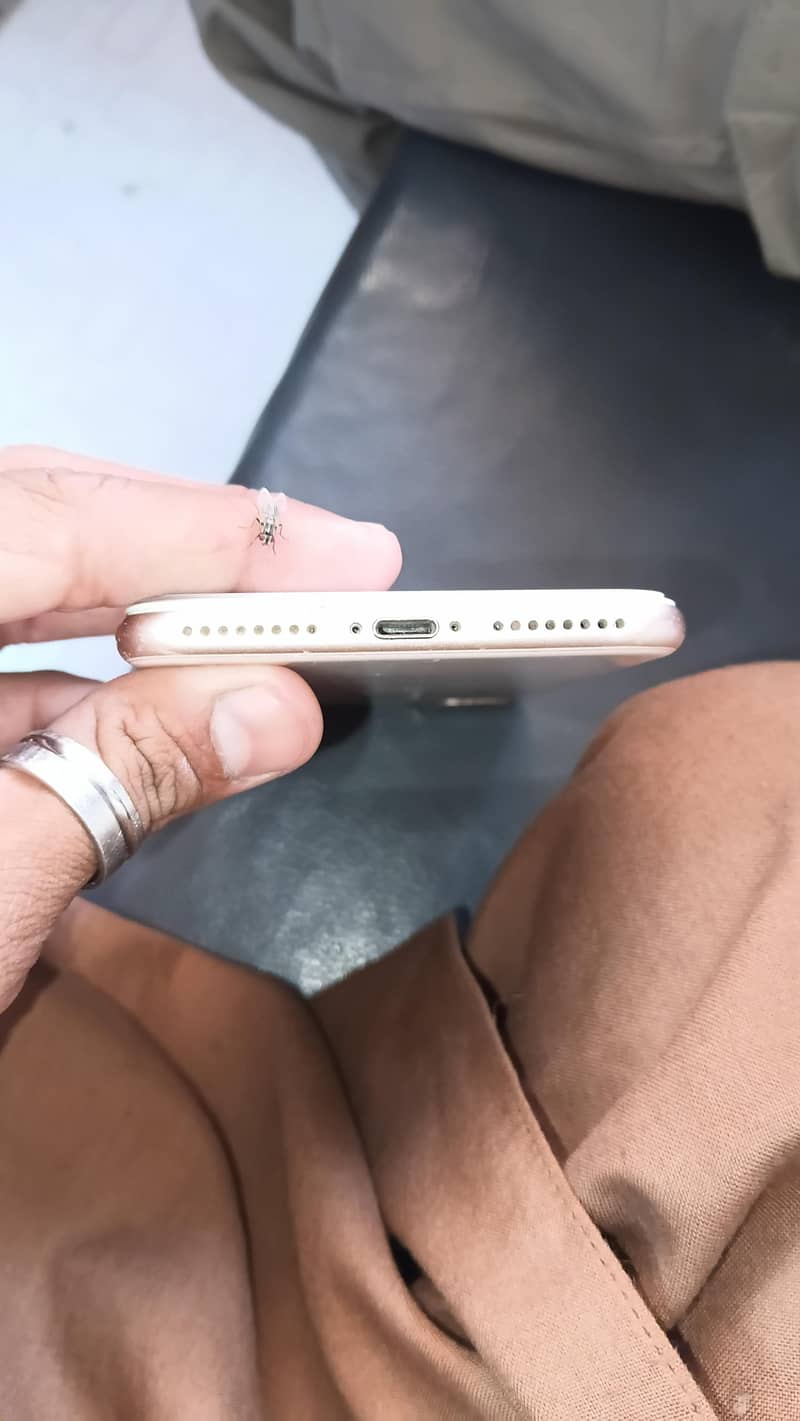 Apple iPhone 8 Plus 1