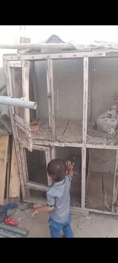 2 by 2 4 Poration Cage Hai Mango Wali Lakri ka bana howa hai