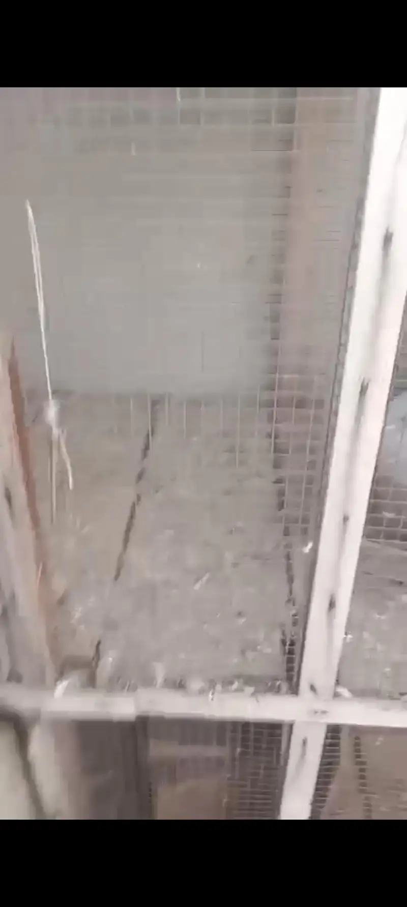 2 by 2 4 Poration Cage Hai Mango Wali Lakri ka bana howa hai — photo 3
