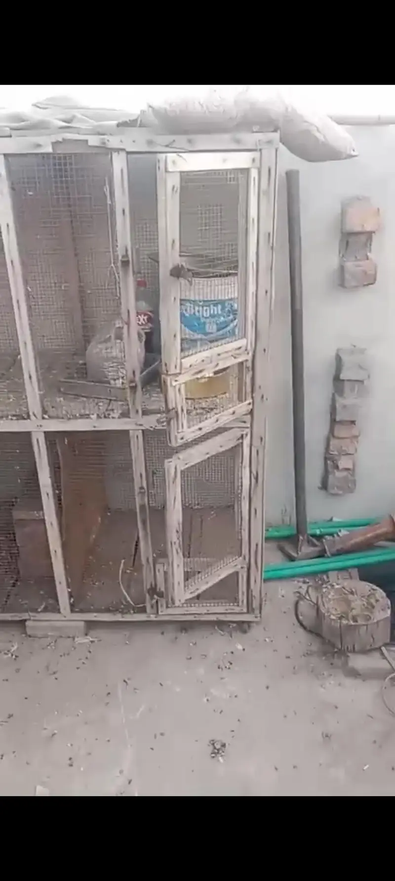 2 by 2 4 Poration Cage Hai Mango Wali Lakri ka bana howa hai — photo 5
