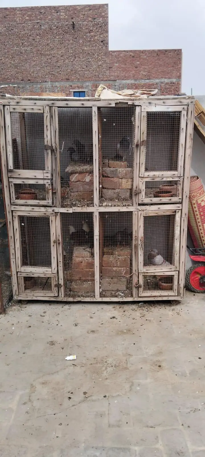 2 by 2 4 Poration Cage Hai Mango Wali Lakri ka bana howa hai — photo 7