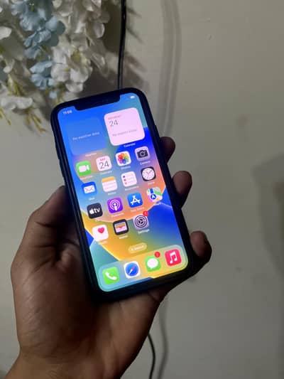 Apple iPhone X