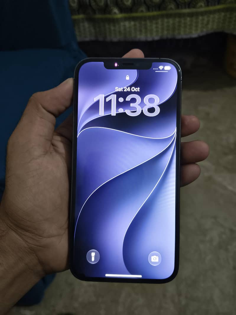 Apple iPhone 12 Pro Max 1