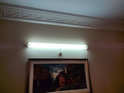 double tubelight