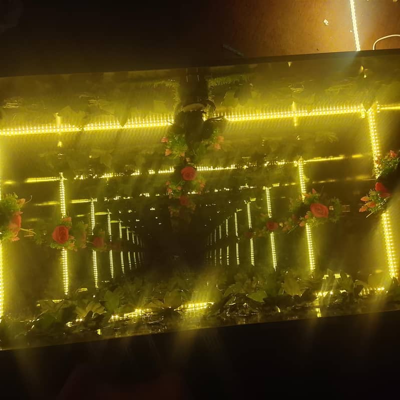 Infinity table 1