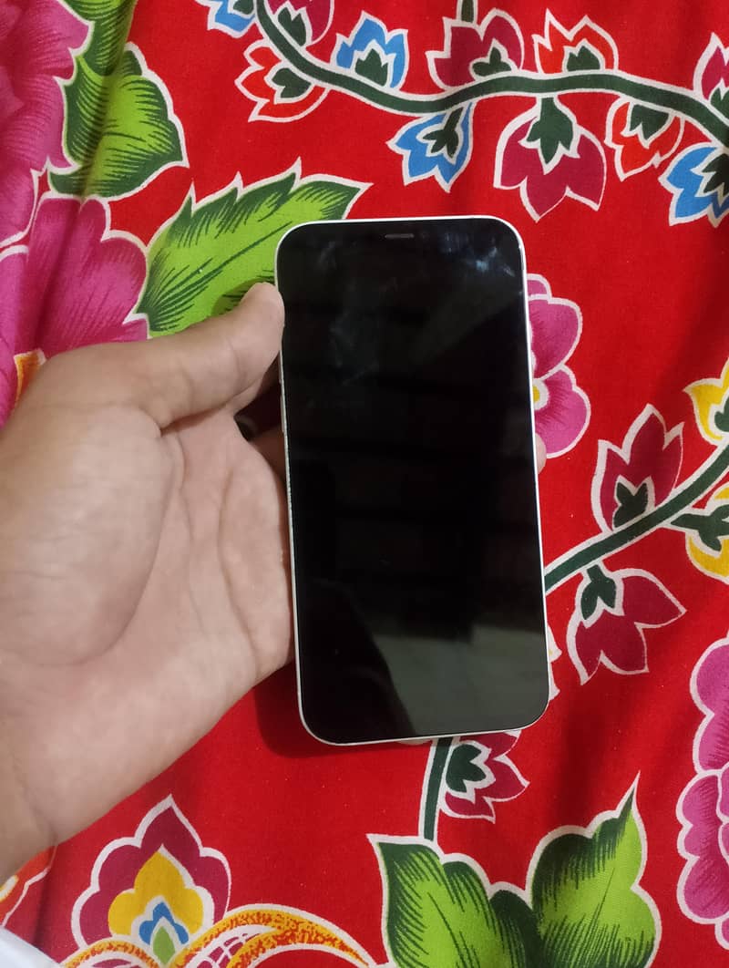 Apple iPhone 12 1