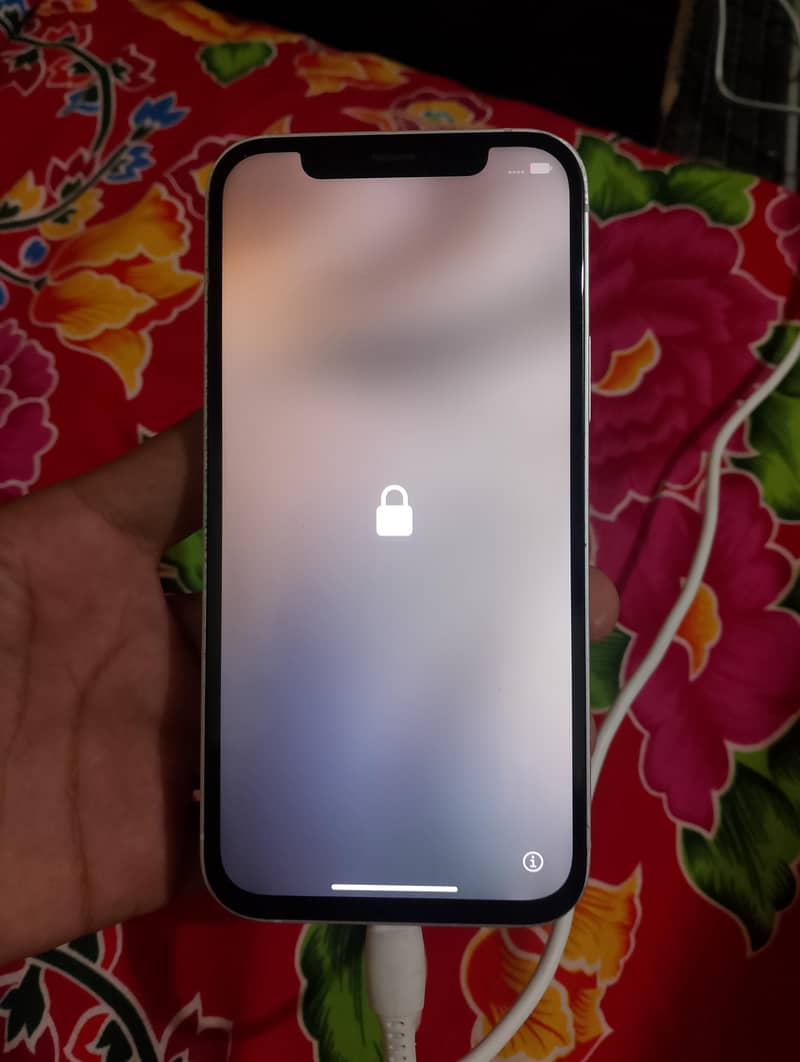 Apple iPhone 12 9