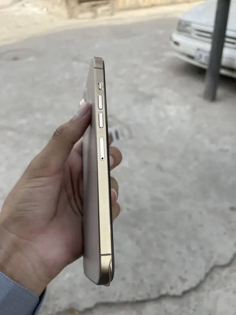 Apple iPhone 13 Pro Max panel dot 1