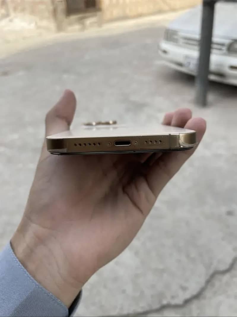 Apple iPhone 13 Pro Max panel dot 3