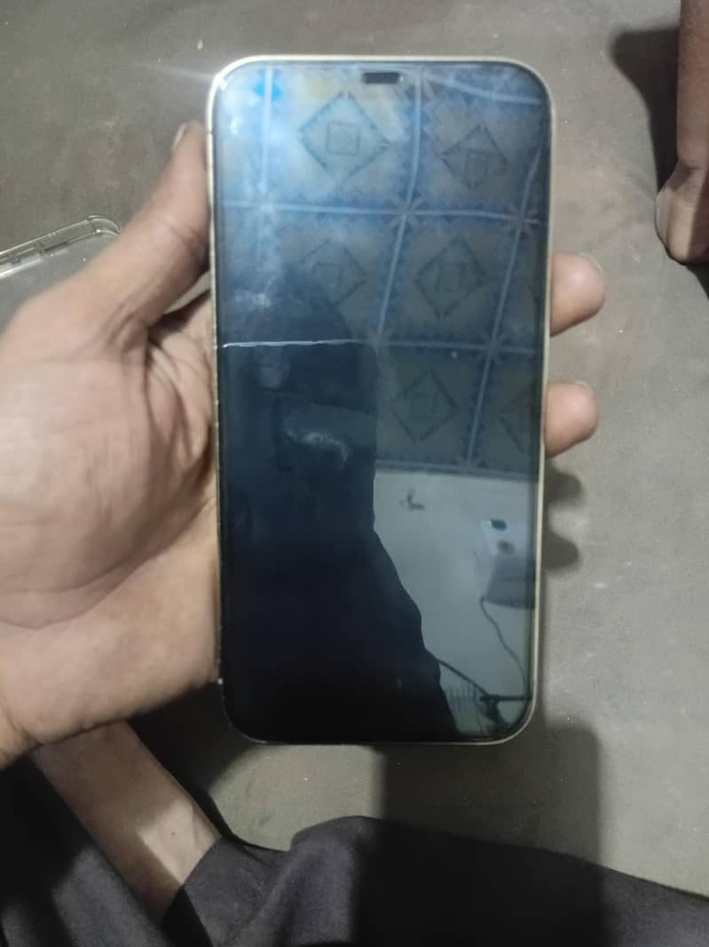 Apple iPhone 12 Pro Max 1