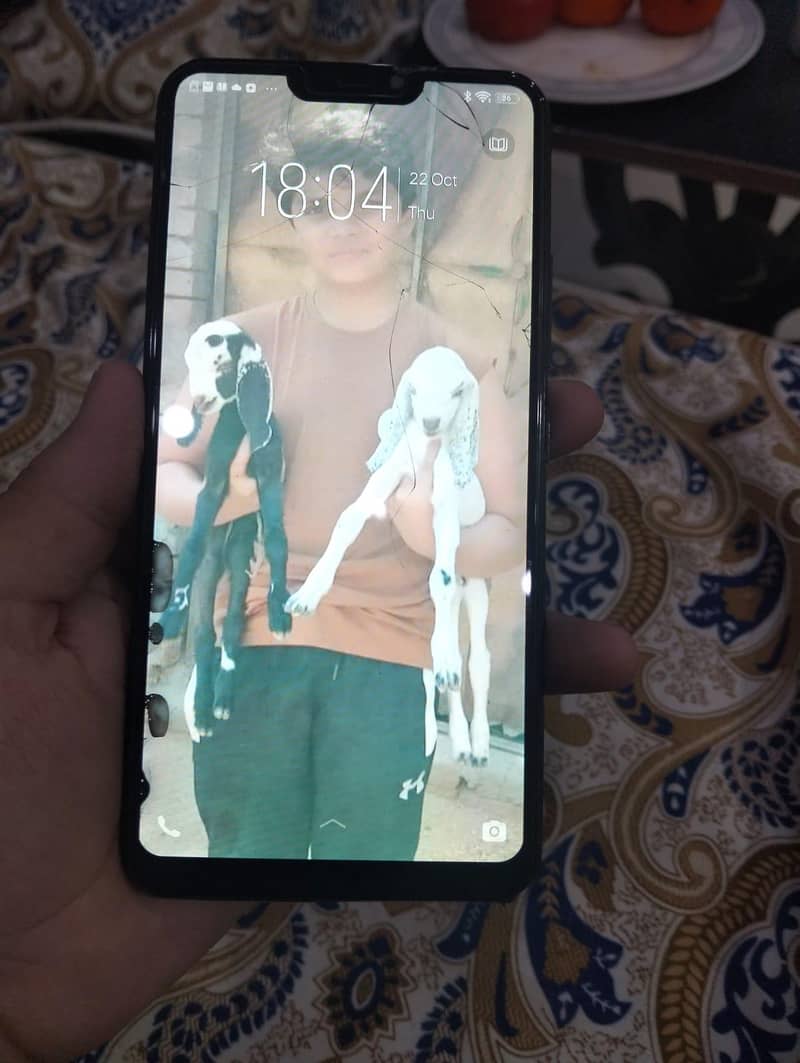 03354140234 3