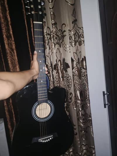 equites acoustic guitar