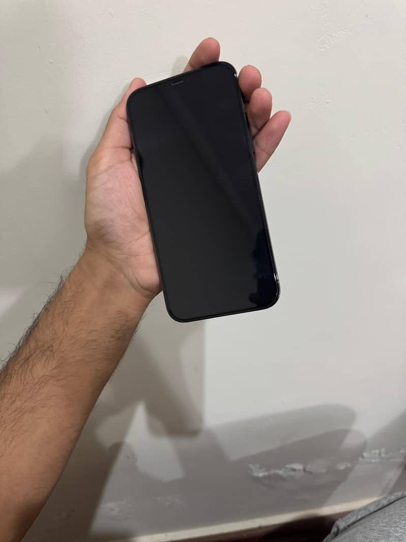 Apple iPhone 12 Pro Max 1