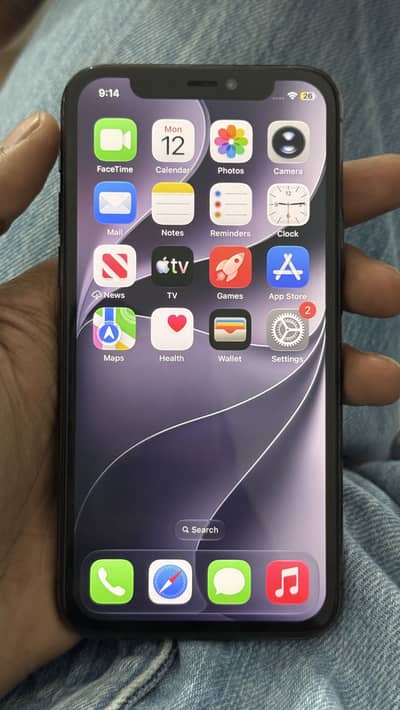 iPhone 11 Pro 256 GB