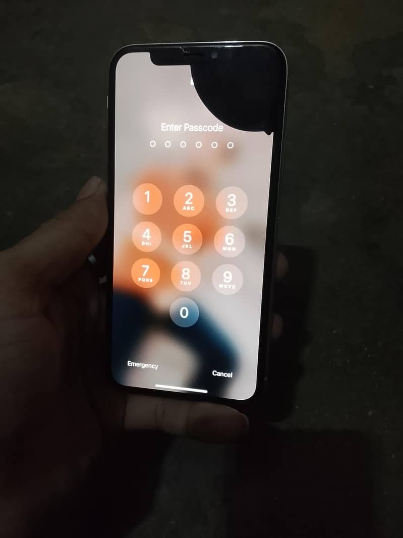 Apple iPhone X 1