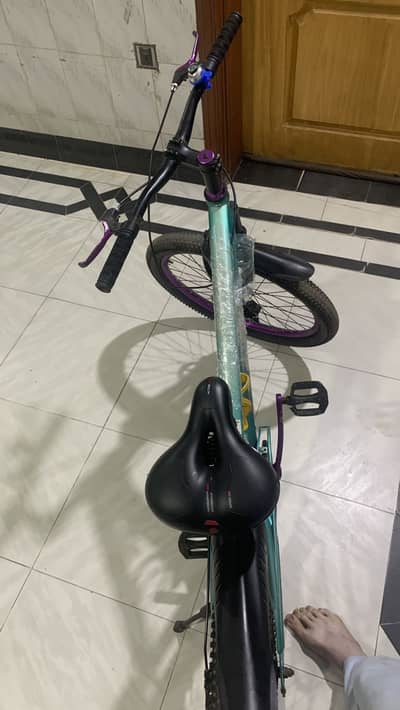BDF bicycle