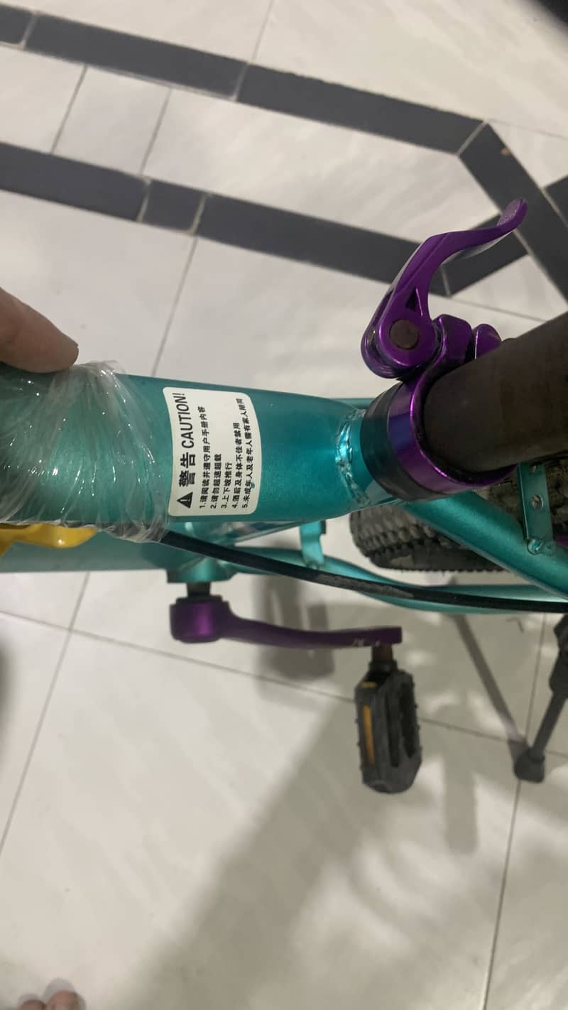 BDF bicycle 1
