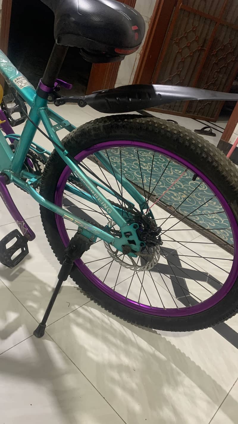 BDF bicycle 2