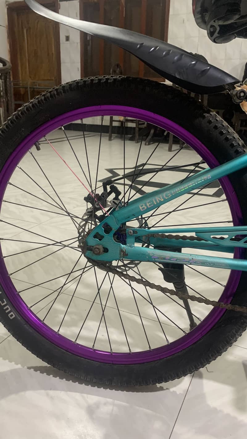 BDF bicycle 3