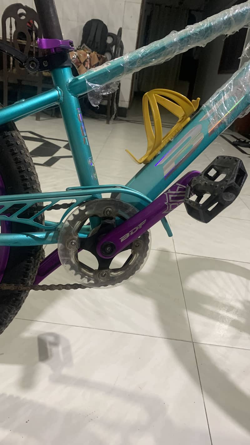 BDF bicycle 4