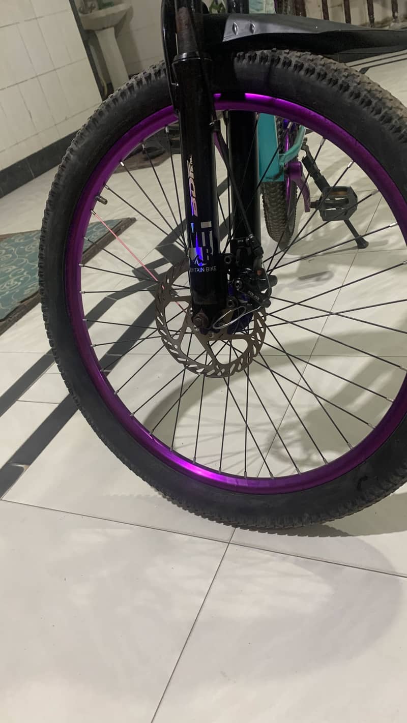 BDF bicycle 5