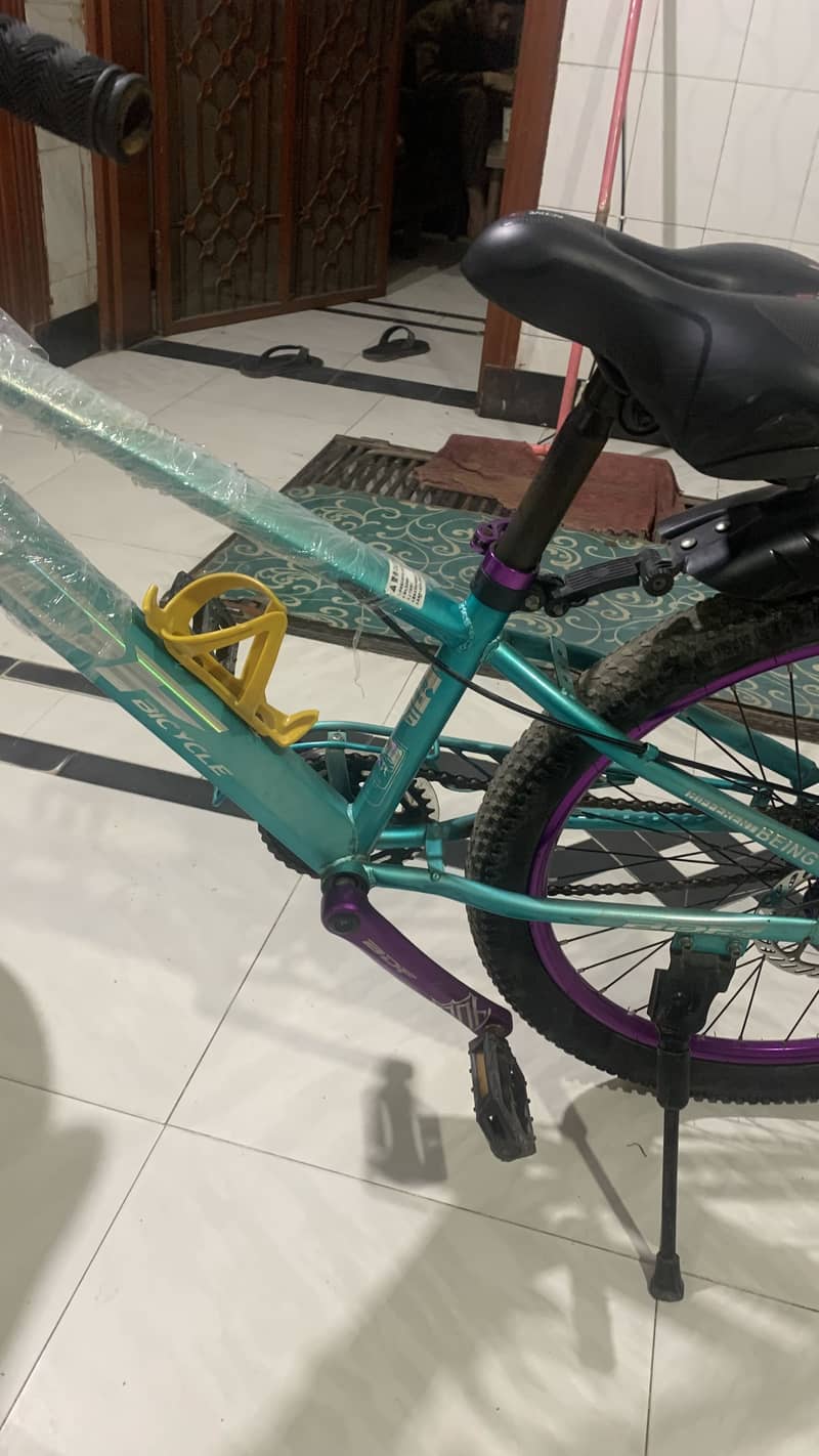BDF bicycle 6