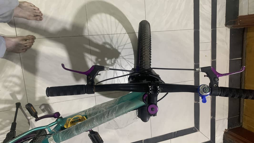 BDF bicycle 7