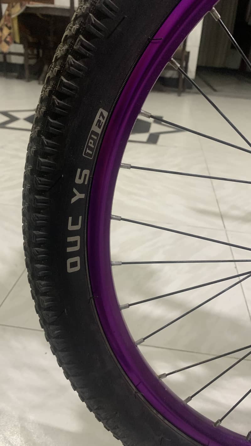 BDF bicycle 8