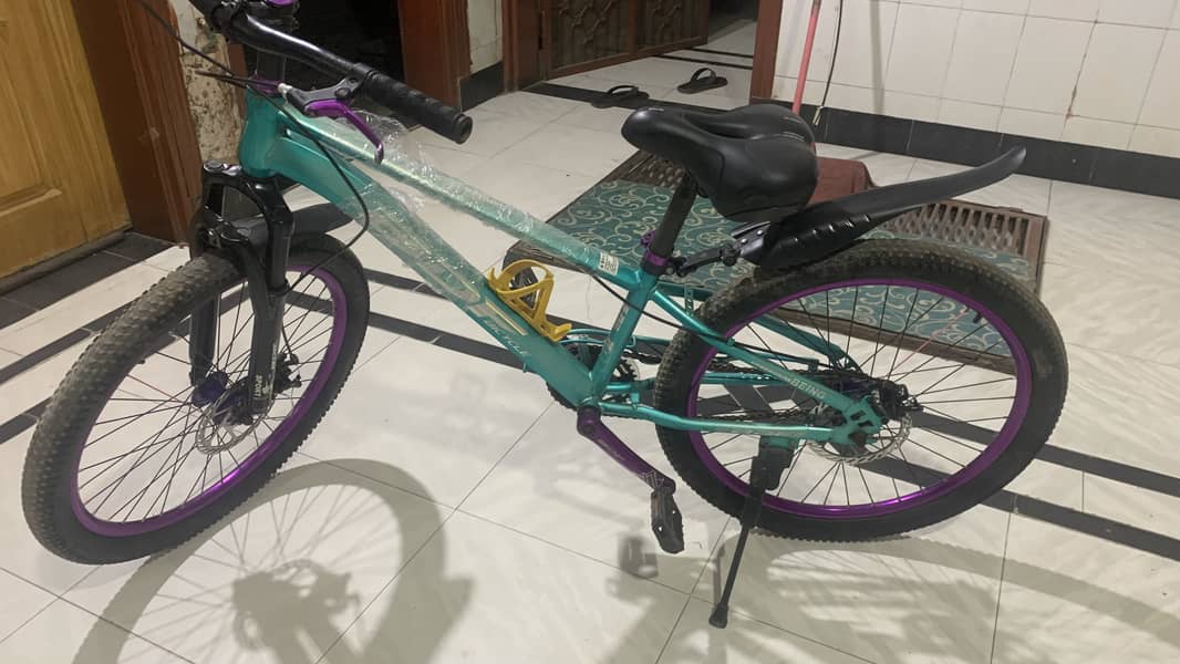 BDF bicycle 9