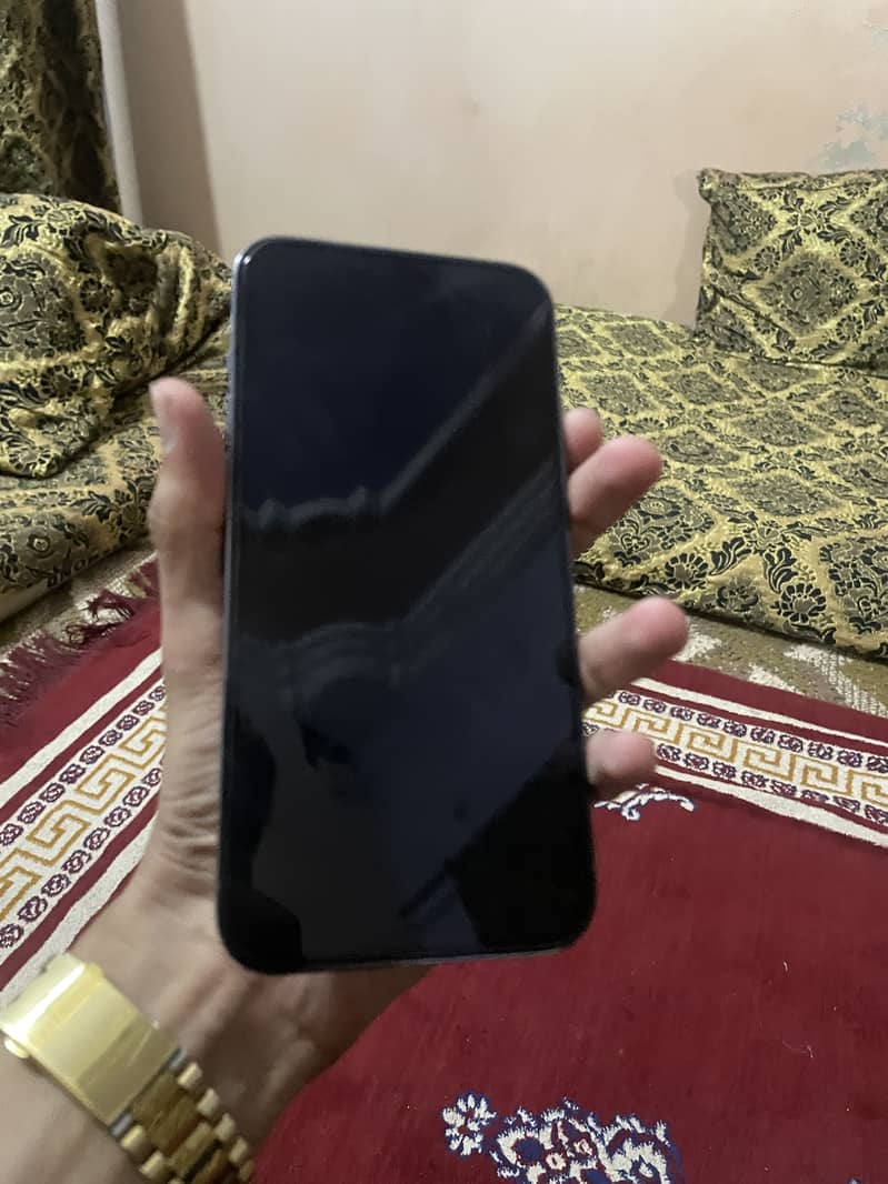 Apple iPhone 13 Pro Max 1