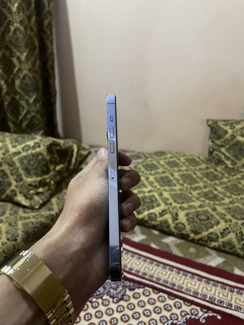 Apple iPhone 13 Pro Max 2