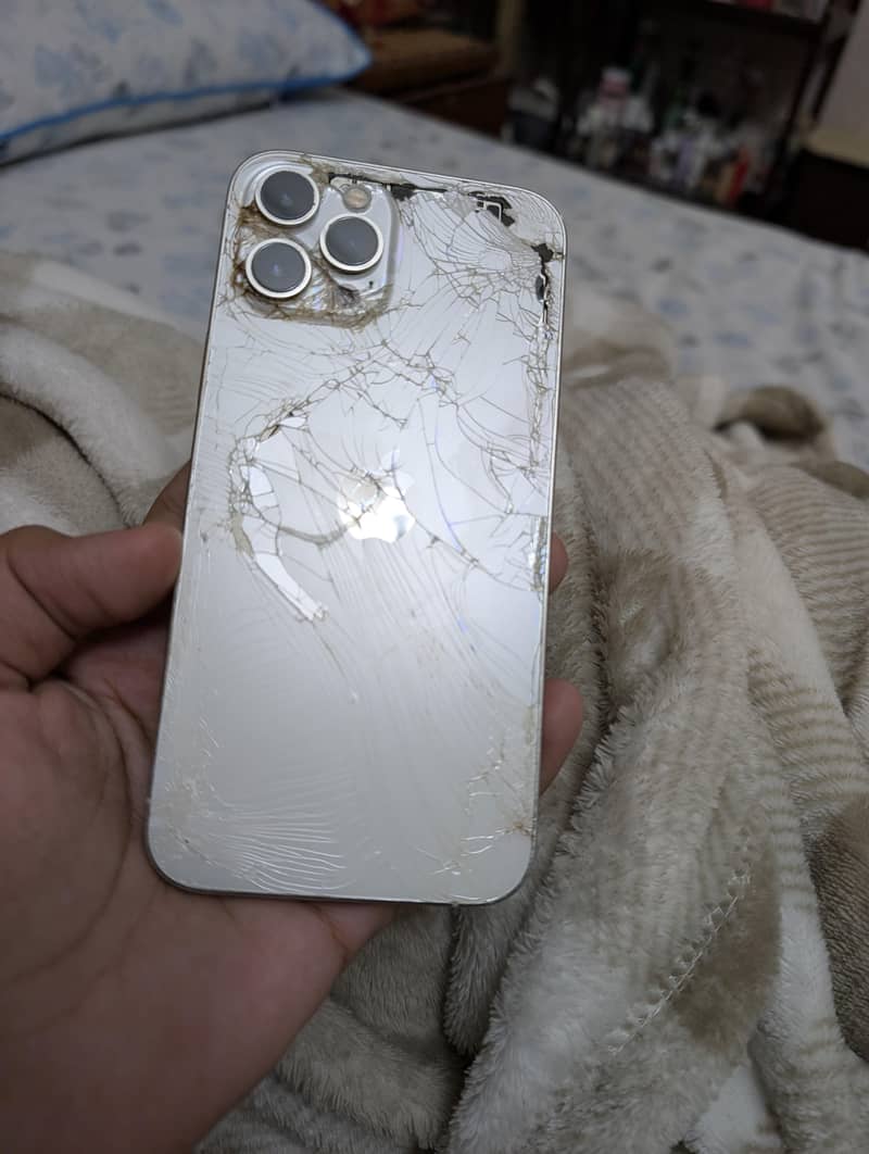 Apple iPhone 12 Pro Max 0