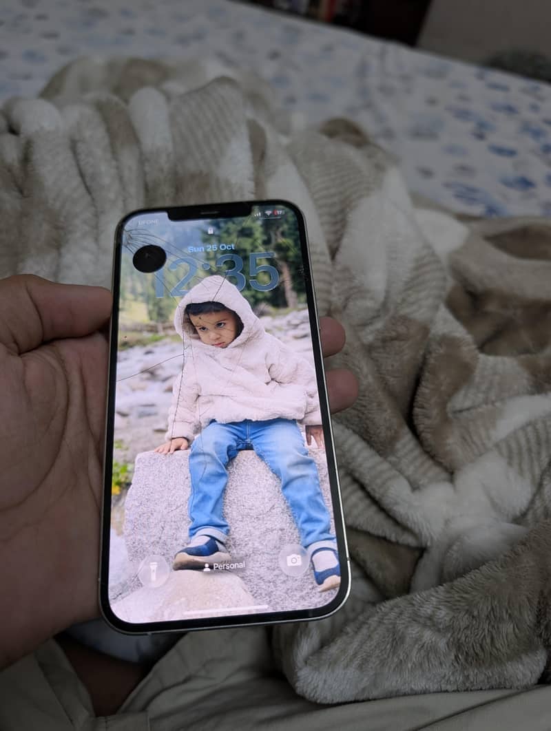 Apple iPhone 12 Pro Max 5