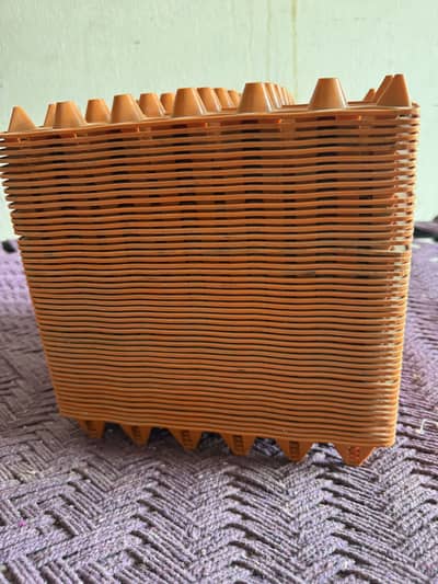 Egg try for sell
