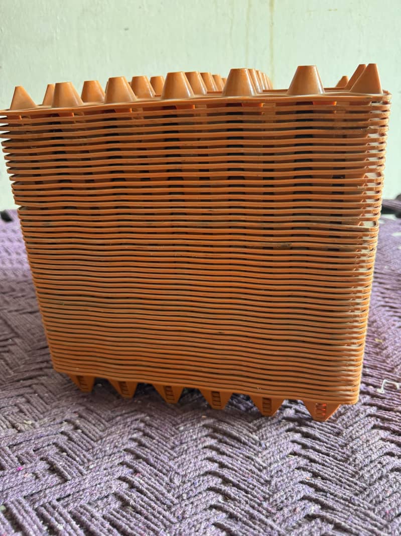 Egg try for sell 1