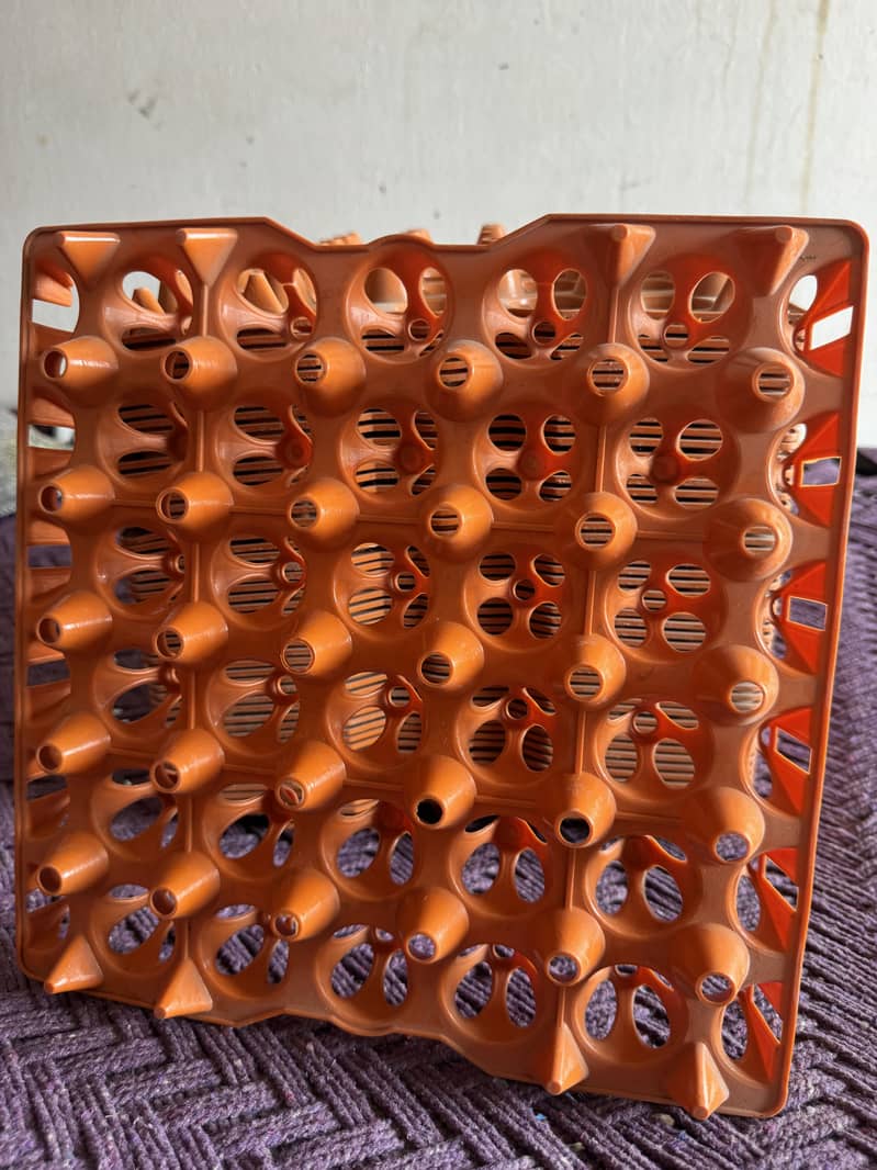 Egg try for sell 2