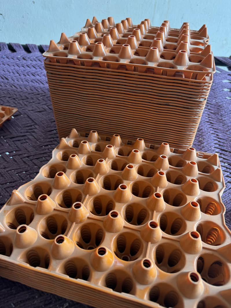 Egg try for sell 3