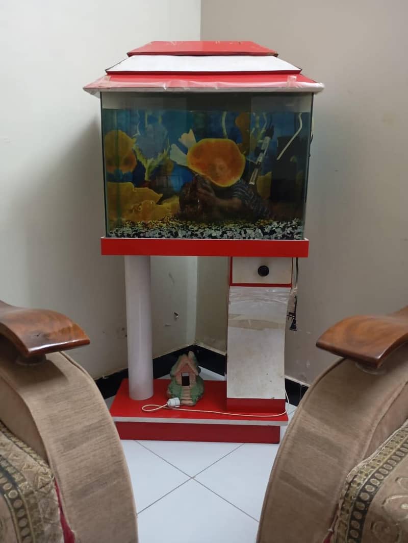 Aquarium 1