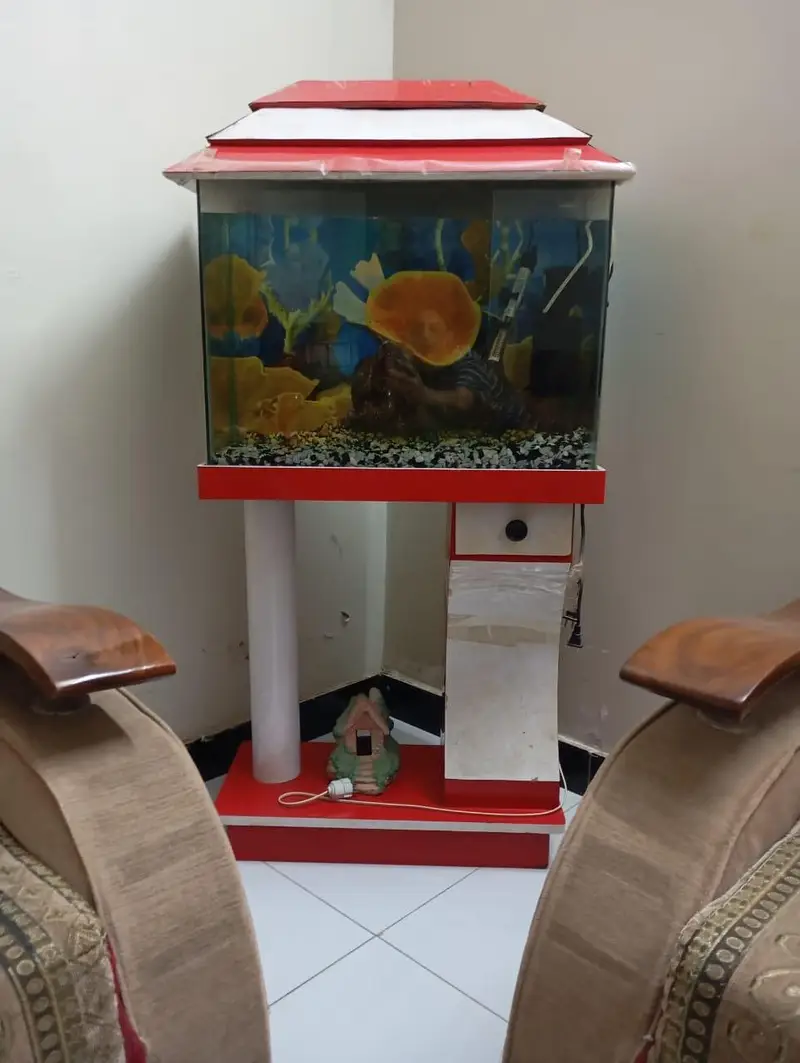 Aquarium — photo 2