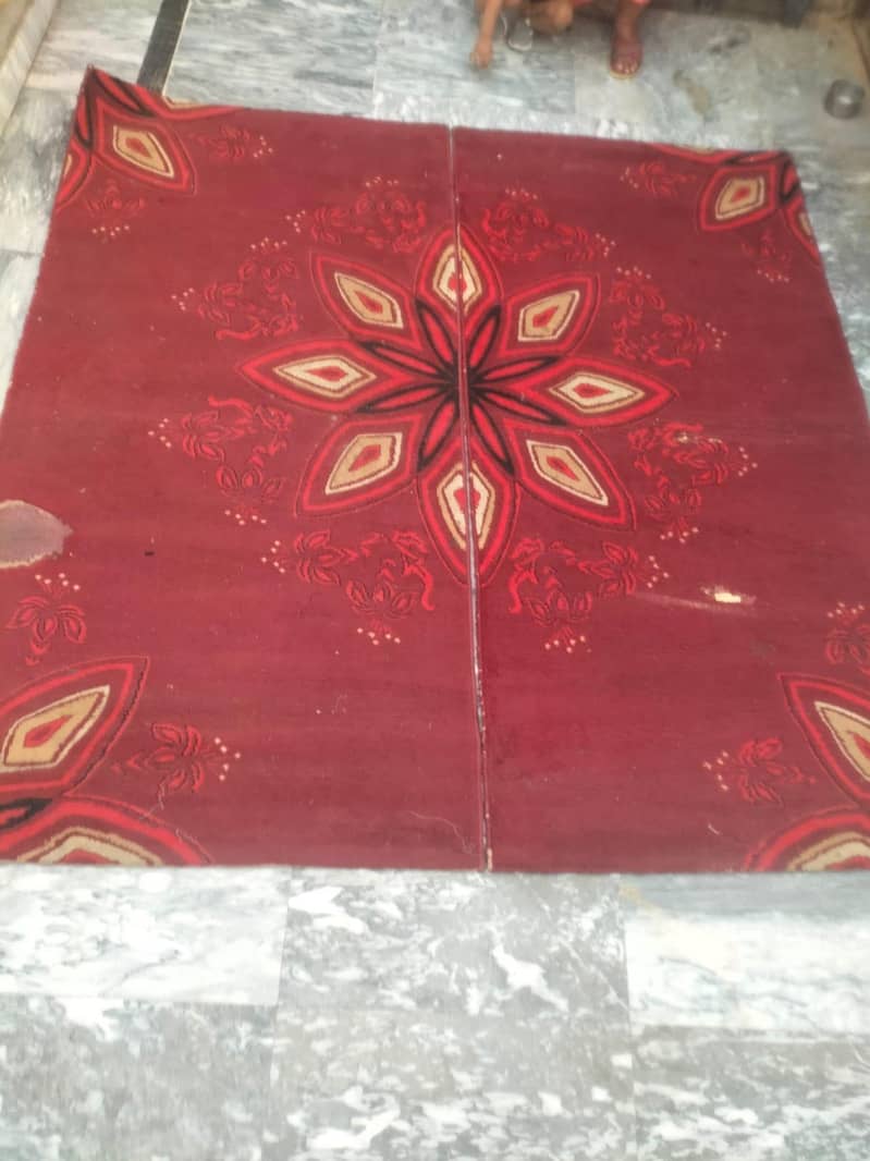 one carpet 1
