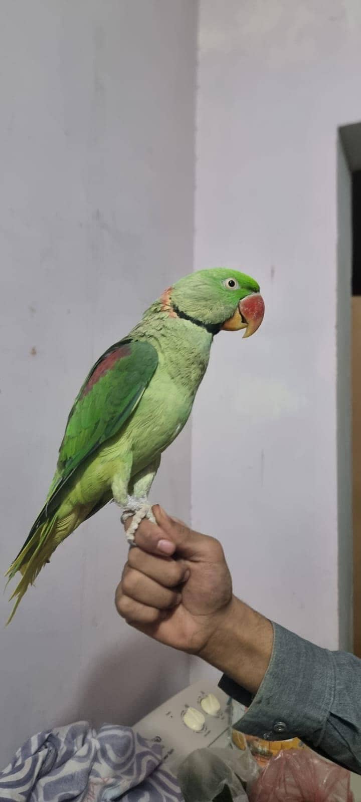 HEALTHY AND ACTIVE PAIR 0
