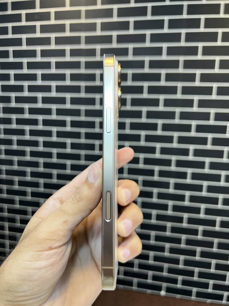 Apple iPhone 16 Pro Max 1